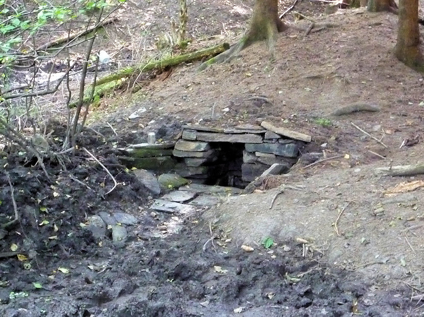 studánka U Prokůpka (3196) - květen 2010