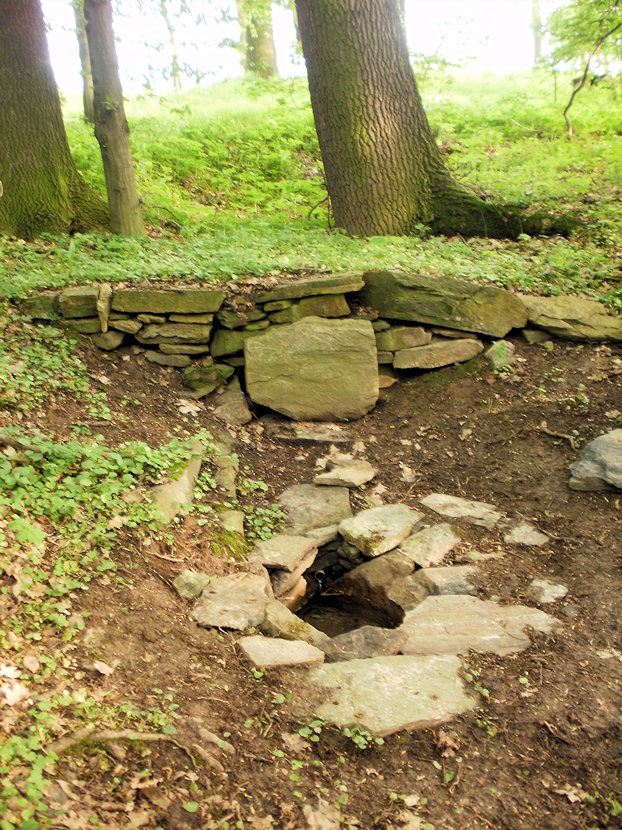 studánka V Březince (3197) - květen 2010