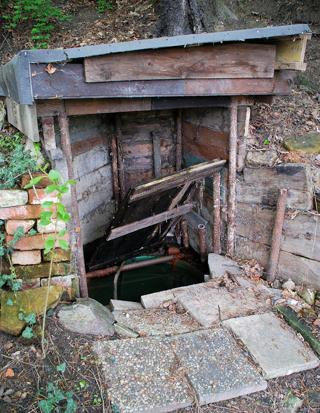 studánka Barelka (3200) - květen 2010