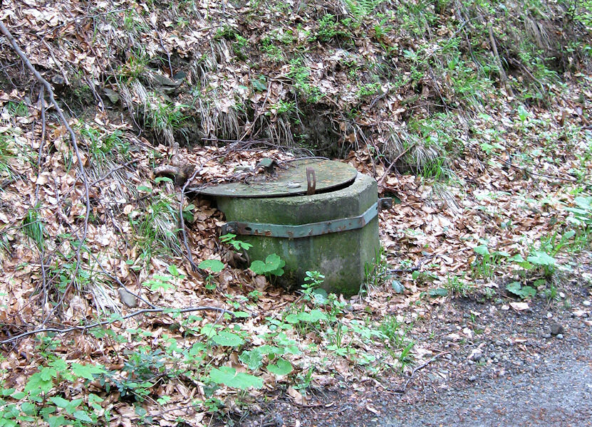 studánka U Májovy chaty (3215) - květen 2010