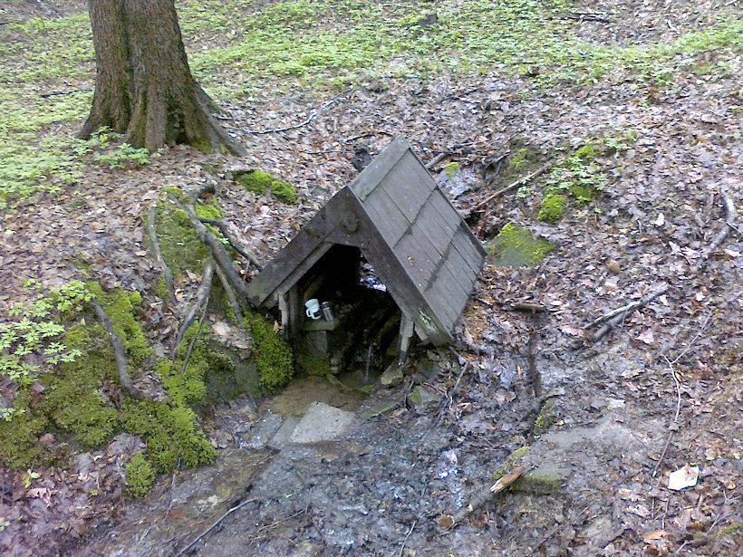 studánka bez jména (3223) - květen 2010