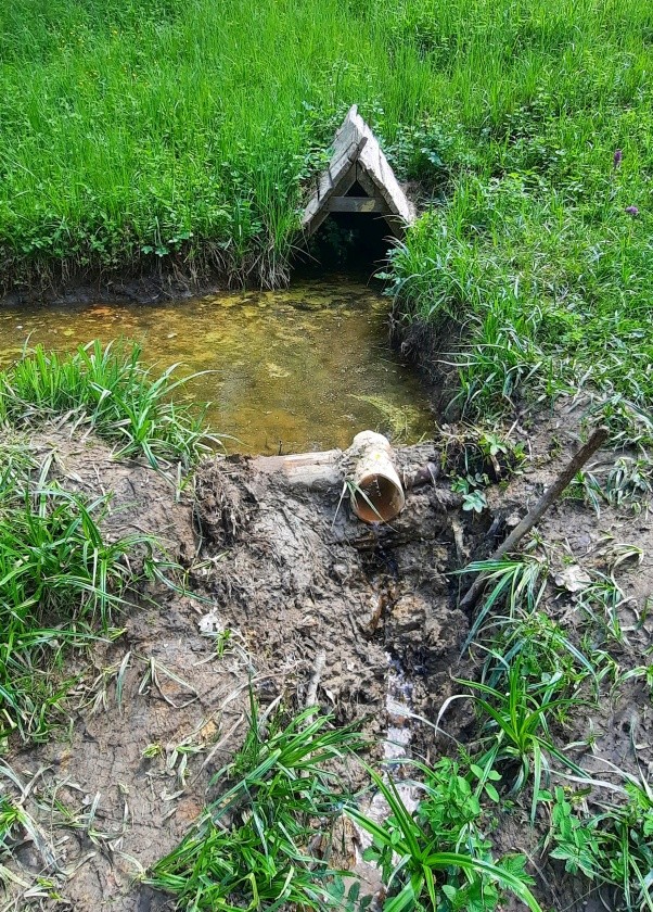 studánka V louce (3233) - květen 2024