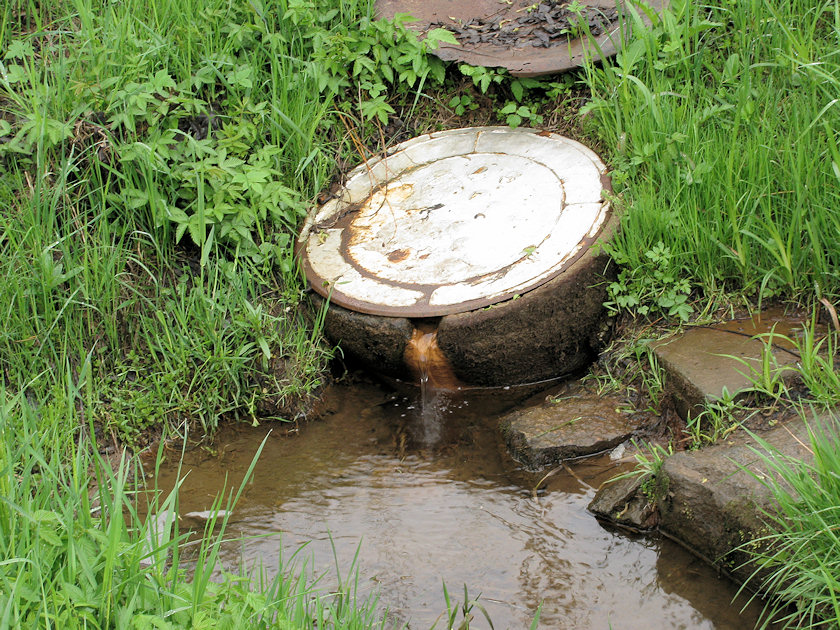 studánka Zákazová (3238) - květen 2010