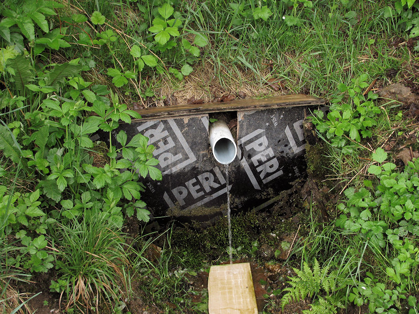 studánka U Vodárny (3239) - květen 2010