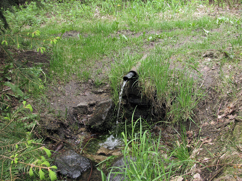studánka U Okrouhlíku (3241) - květen 2010
