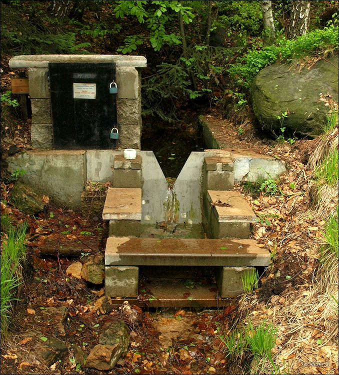 pramen Havraní studánka (3252) - květen 2010