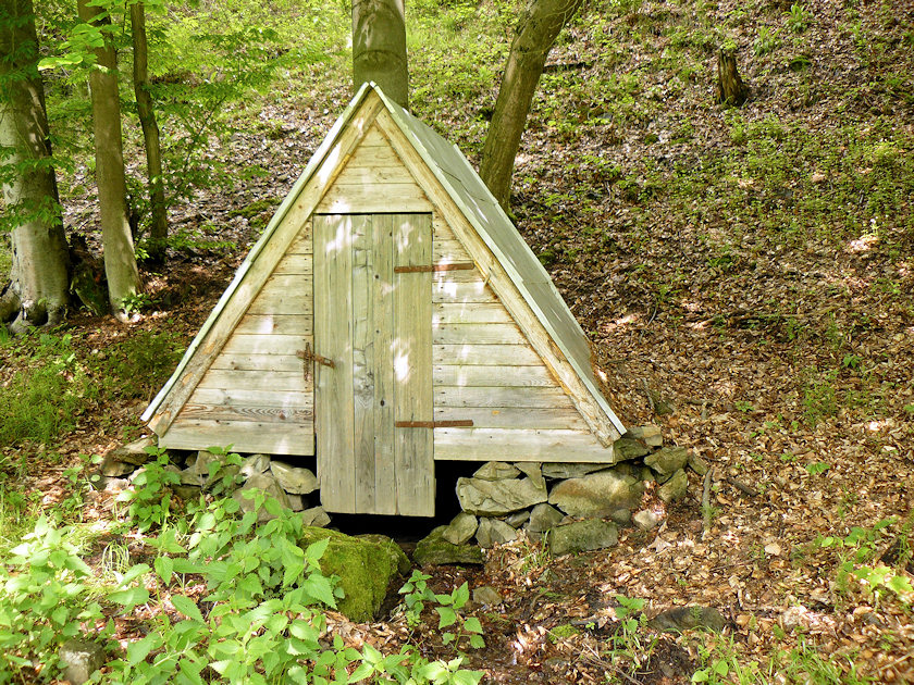 Studánka u Věžnice (3253) - květen 2010