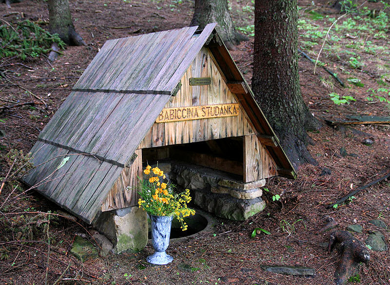 Babiččina studánka (3259) - květen 2010