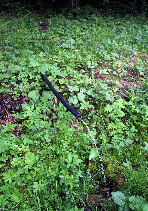 studánka Na Ranči (3260) - květen 2010