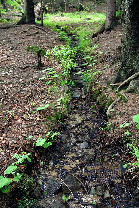 pramen Pod Vývratem (3261) - květen 2010