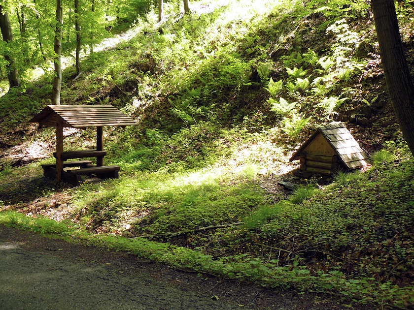 Maratovská studánka (3264) - květen 2010