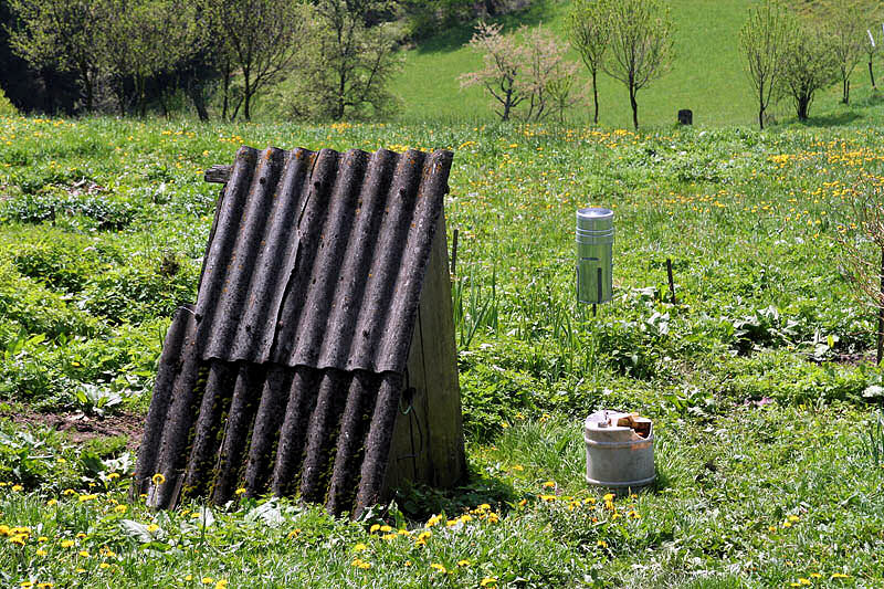 studánka Na Pálenici (3278) - květen 2010