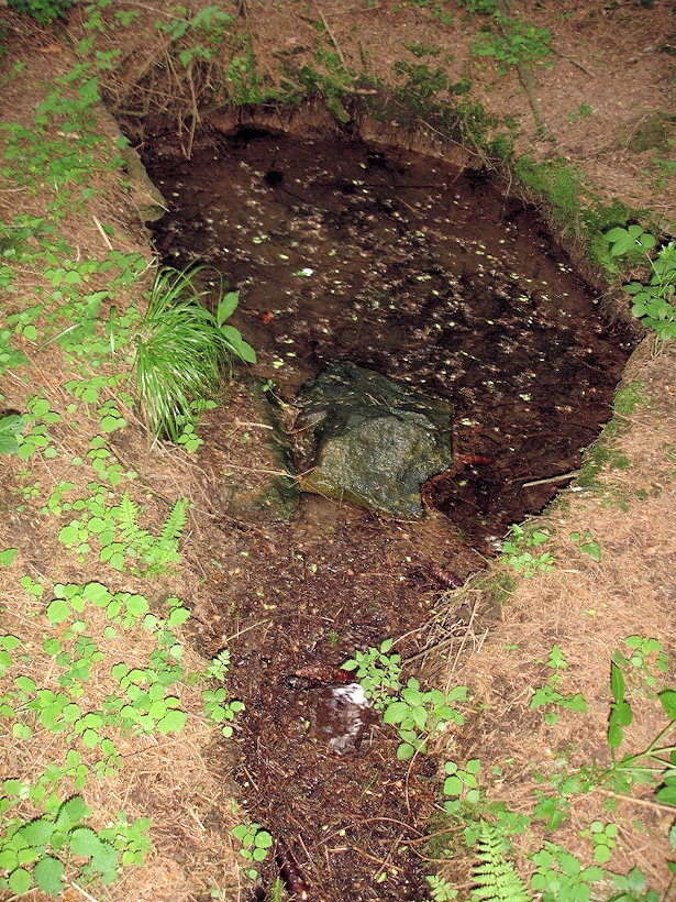 prameniště bez jména (3283) - květen 2010