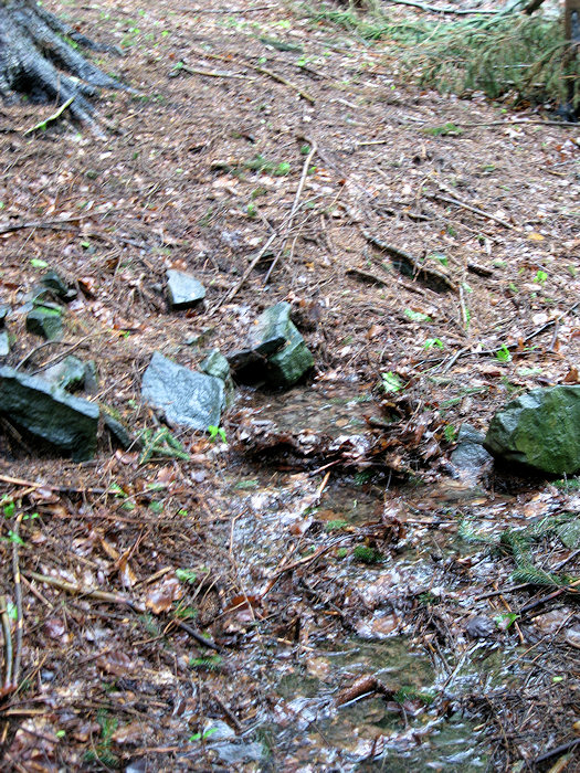 prameniště Nad Hlistou (3290) - květen 2010