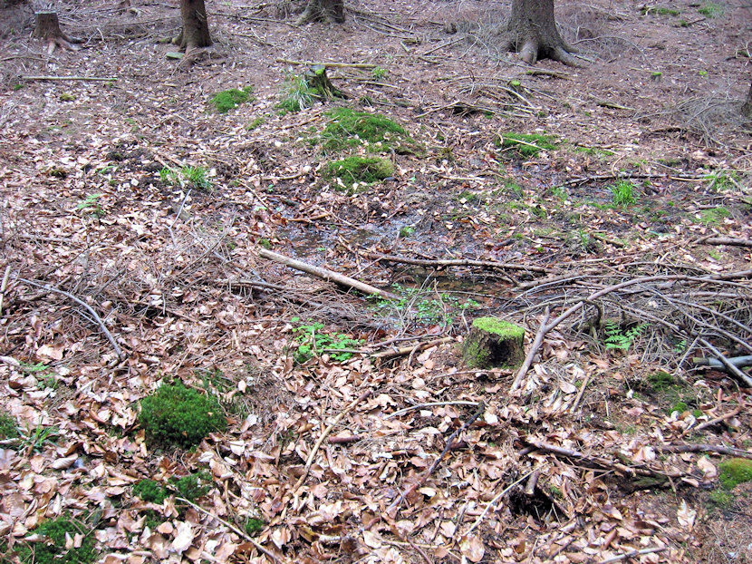 prameniště U Modrého obrazu (3298) - květen 2010