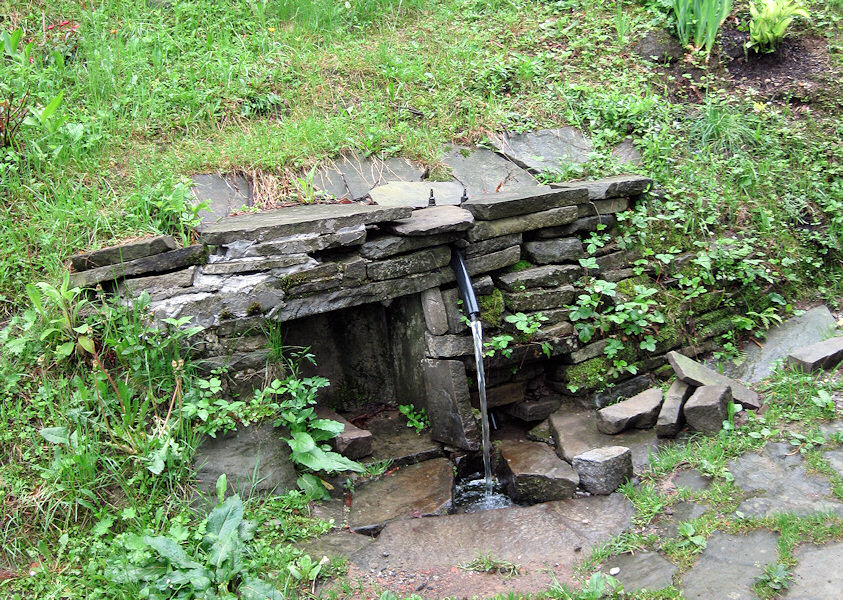pramen Pod Zajičorkou (3307) - květen 2010