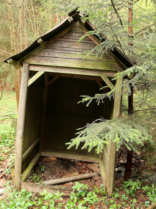studánka bez jména (3309) - květen 2021