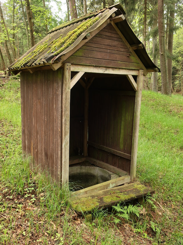 studánka Nad Stříbrňákem (3310) - květen 2021