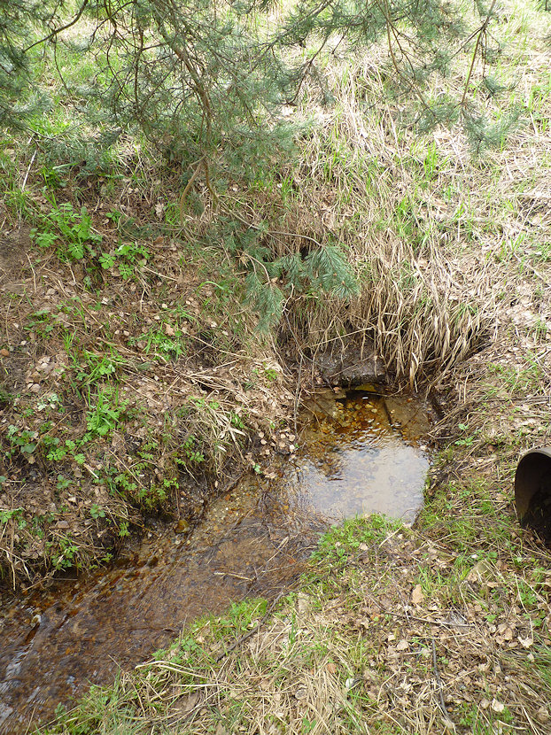 studánka U zastávky (3311) - květen 2010