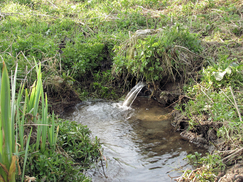 jiný vodní zdroj V Ráji (3318) - květen 2010