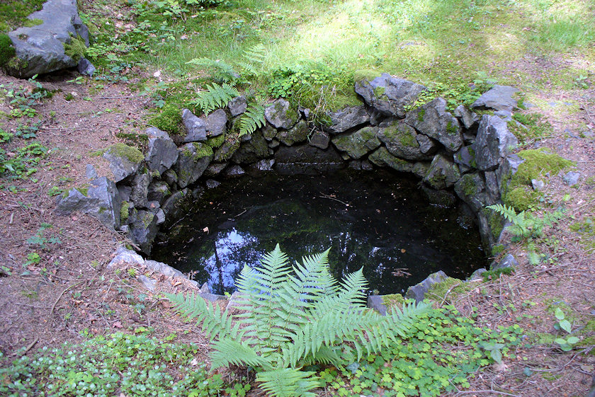 studánka Pod Kamýckou skálou (3342) - květen 2010