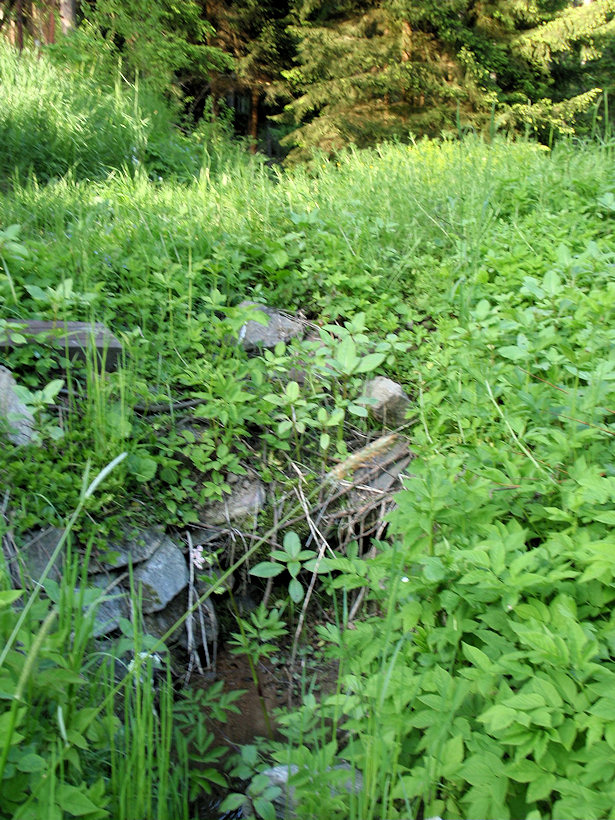 studánka V kamínkách (3343) - červen 2010