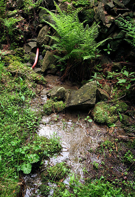 pramen Terezčina studánka (3348) - červen 2010