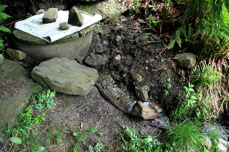 studánka Za Mísnú (3350) - červen 2010