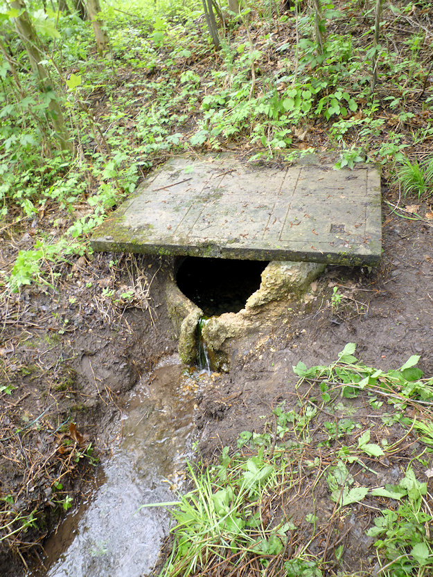 studánka V Lipách (3357) - červen 2010