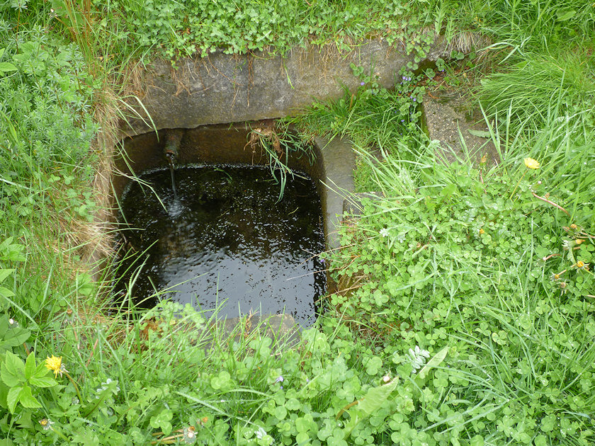 studánka U obchodu (3358) - červen 2010