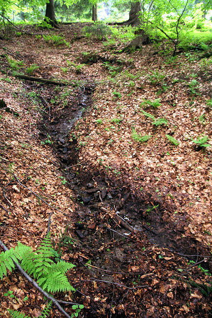 pramen Pod Mísnú (3360) - červen 2010