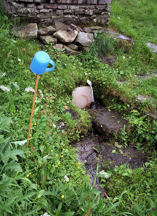studánka Činov I. (3387) - červen 2010