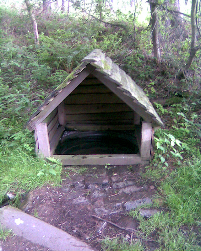 studánka bez jména (3400) - červen 2010