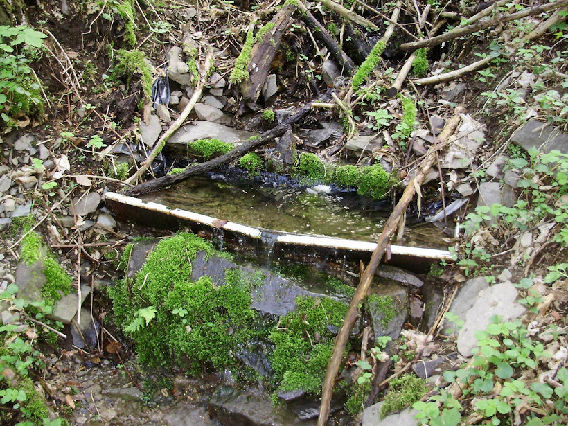 studánka Skautská (3401) - červen 2010