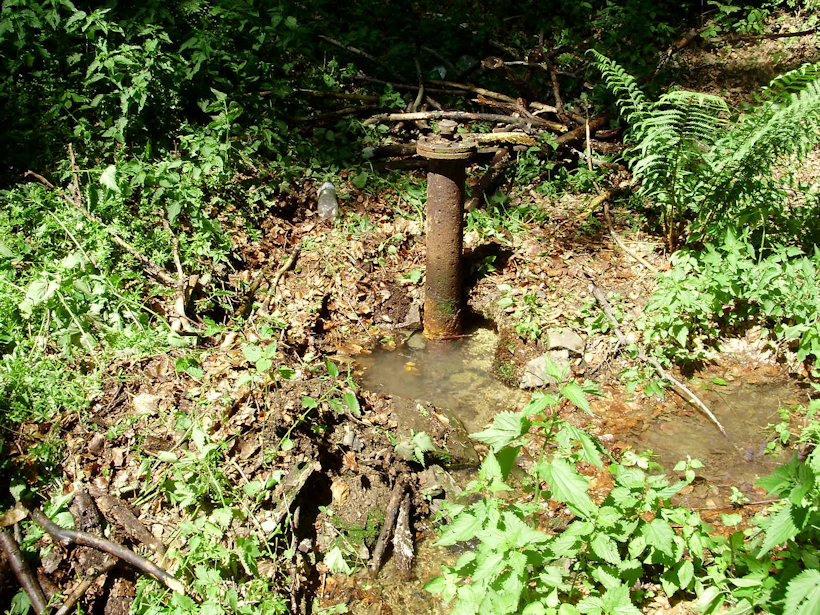 vrt Sluneční (3404) - červen 2010