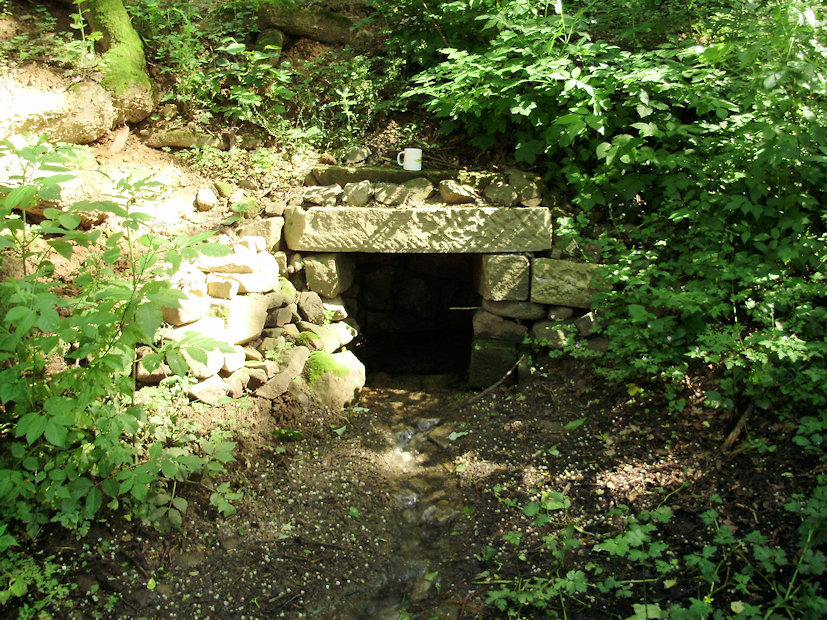 studánka U sovy (3415) - červen 2010