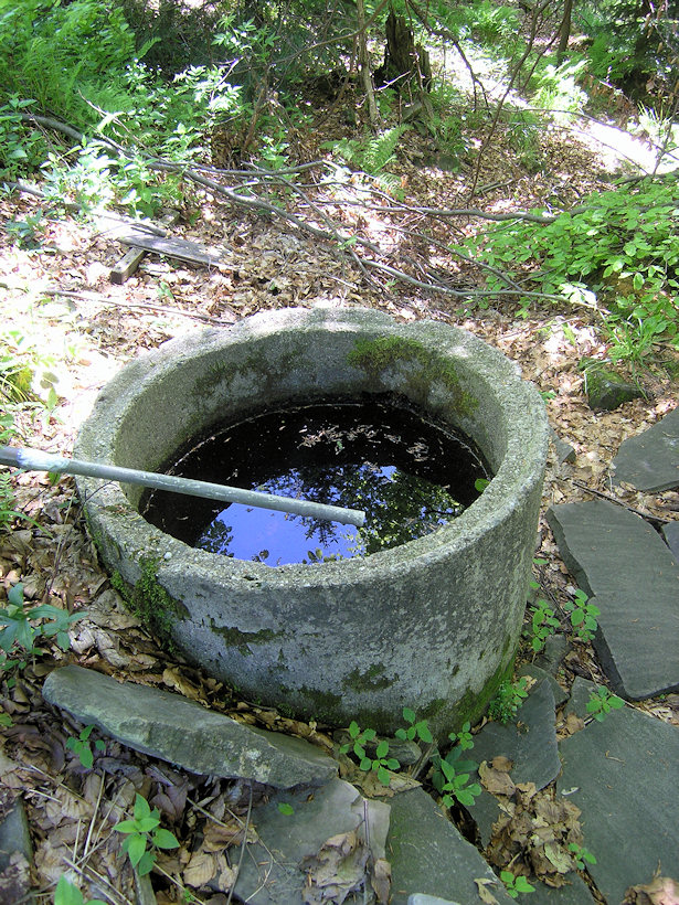 studánka Barnoška (3417) - červen 2010