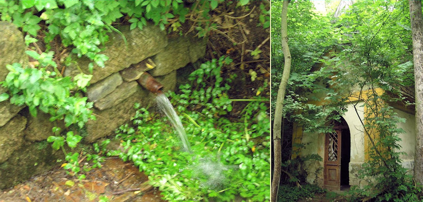 Pramen pod kaplí (3428) - červen 2010