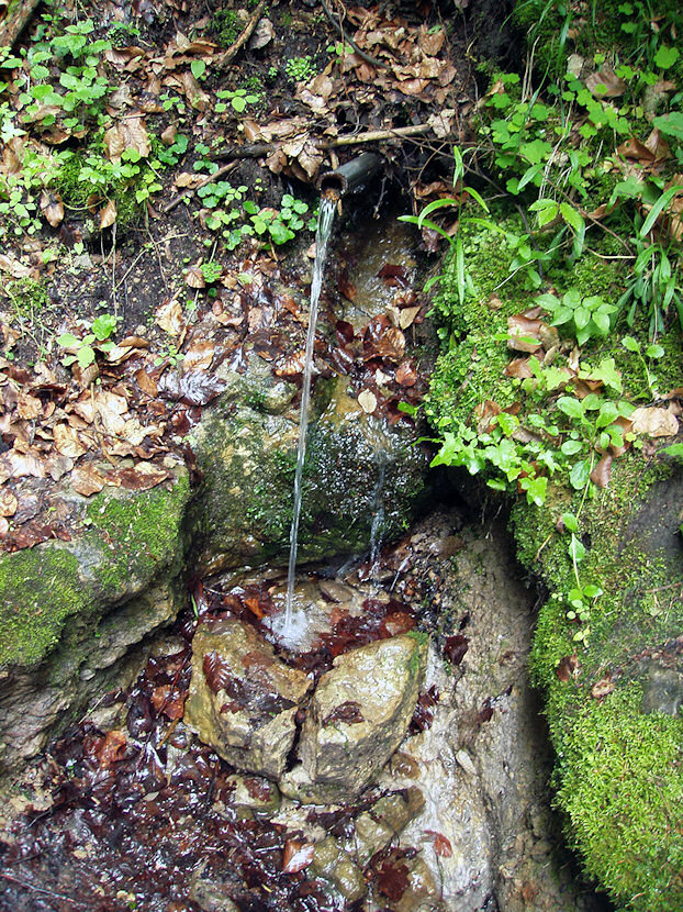 studánka bez jména (3435) - červen 2010