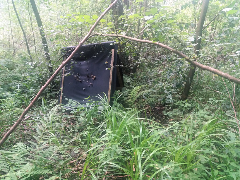 studánka bez jména (3436) - srpen 2021