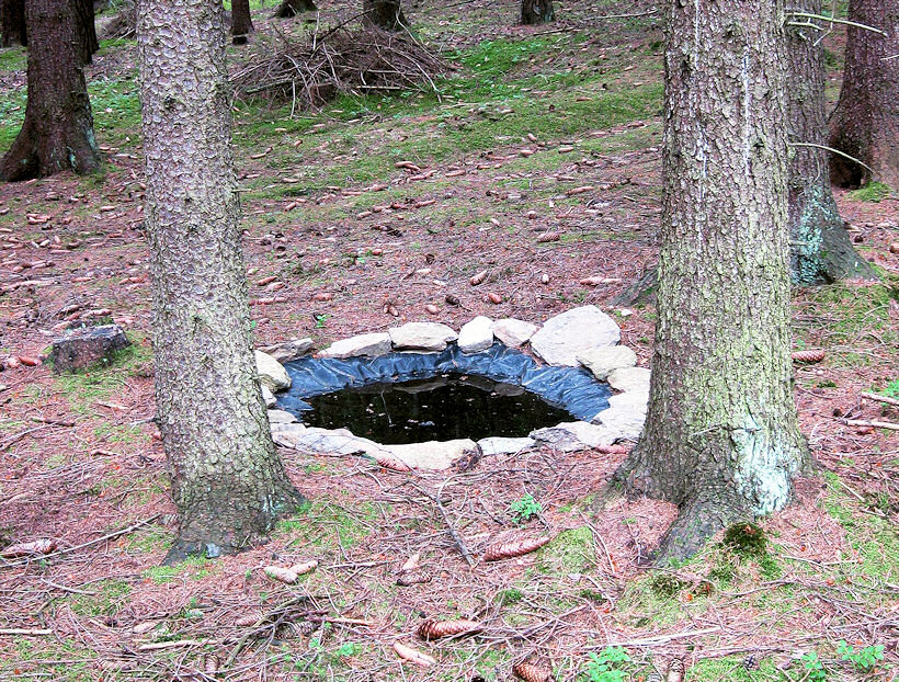 studánka Nebeský pramen (3439) - červen 2010