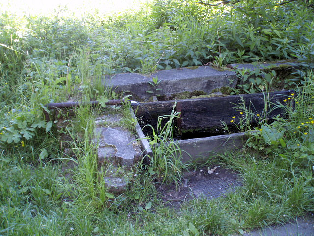 studánka Sedm štítů (3460) - červen 2010