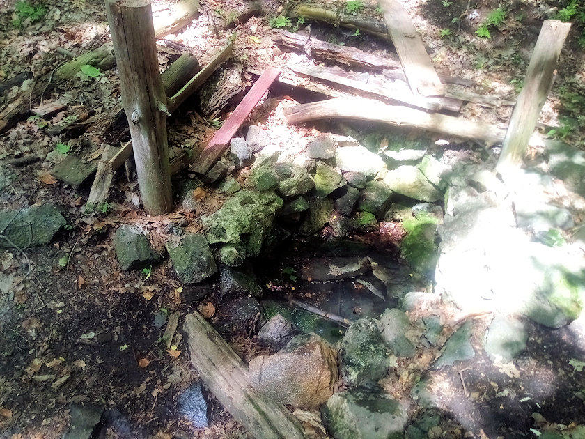 studánka bez jména (3473) - červen 2021