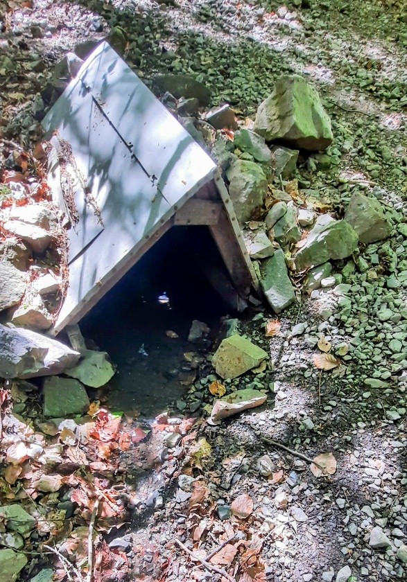 studánka Pod Hvíždincem (3475) - duben 2024