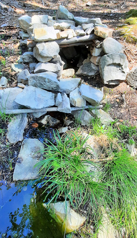 studánka Nad Kejnou roklí 3 (3478) - srpen 2022