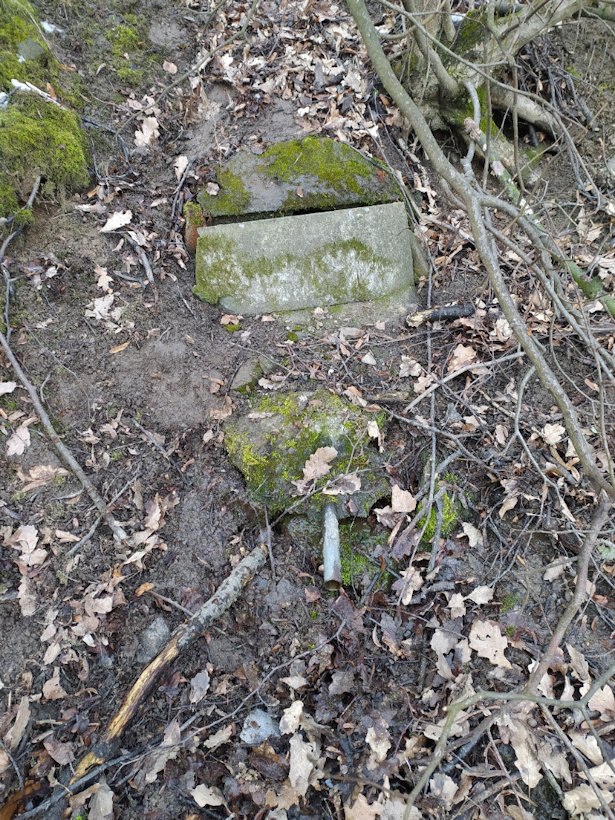 studánka Nad Strelnicí (3500) - únor 2021