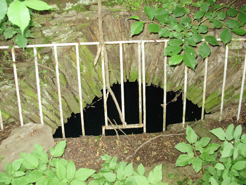 studánka Za mříží (3508) - červen 2010