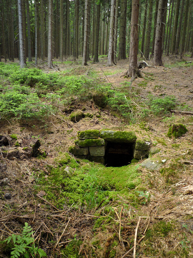 studánka U černách louží (3515) - červen 2010