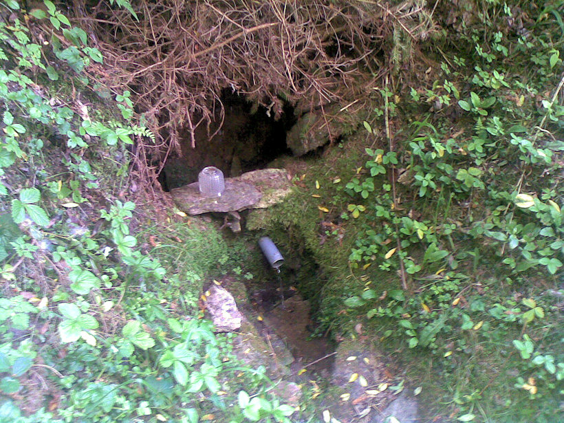 studánka U Rumcajse (3529) - červen 2010