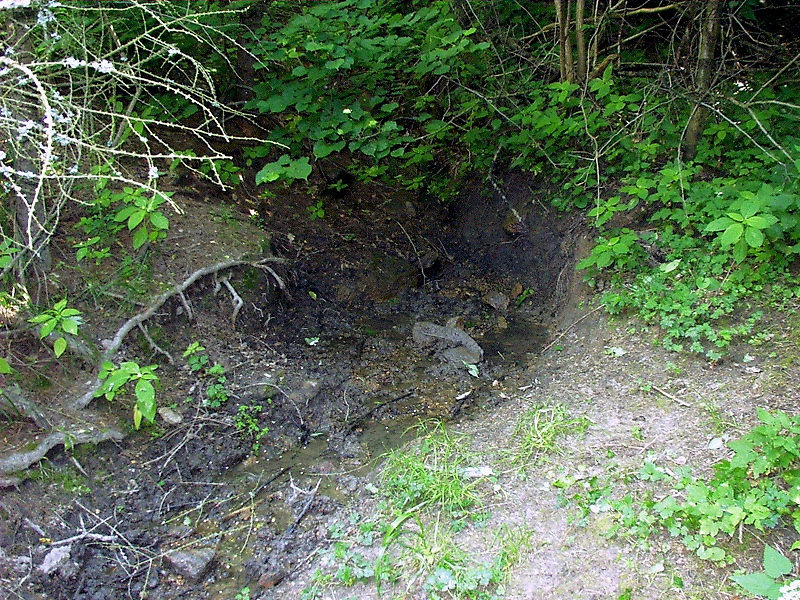prameniště bez jména (3533) - červen 2010